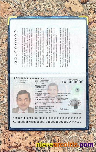 Argentina new passport 2022-present photolook